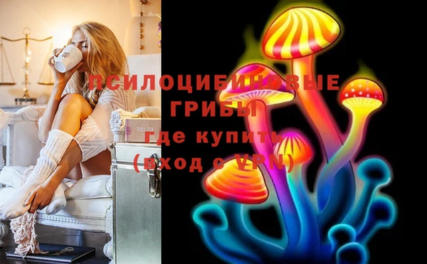 PSILOCYBIN Балахна